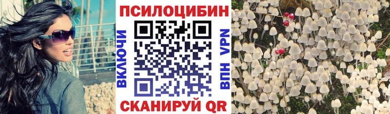 мега маркетплейс  Норильск  Галлюциногенные грибы Magic Shrooms  наркошоп 