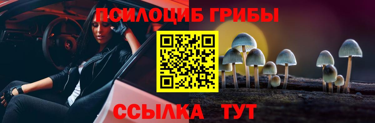 Галлюциногенные грибы GOLDEN TEACHER  Вход с VPN  Норильск 